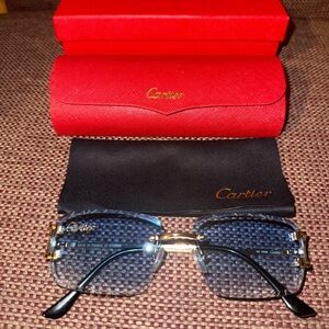 Cartier CT00920 Sunglasses
